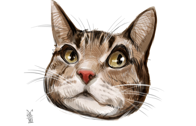 Dog and cat caricatures pet caricature illustration art in Toronto and GTA Ontario Canada