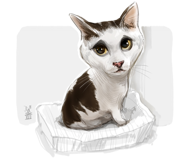 Dog and cat caricatures pet caricature illustration art in Toronto and GTA Ontario Canada