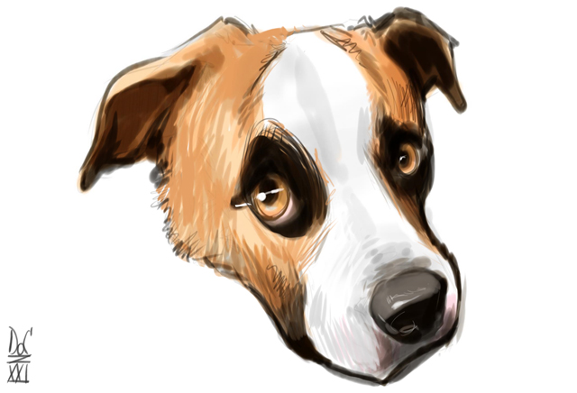 Dog and cat caricatures pet caricature illustration art in Toronto and GTA Ontario Canada