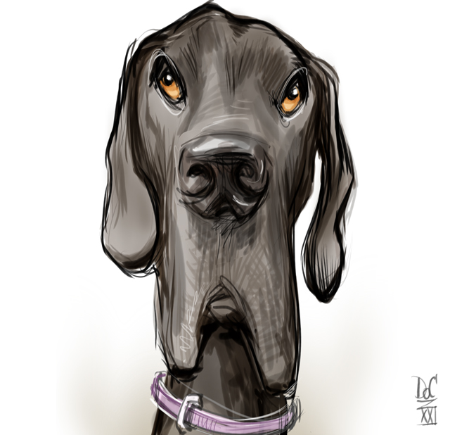 Dog and cat caricatures pet caricature illustration art in Toronto and GTA Ontario Canada