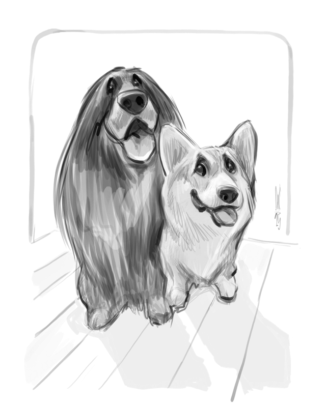 Dog and cat caricatures pet caricature illustration art in Toronto and GTA Ontario Canada