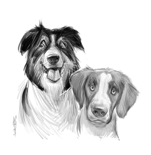 Dog and cat caricatures pet caricature illustration art in Toronto and GTA Ontario Canada