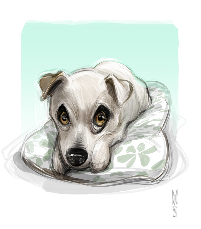 Dog and cat caricatures pet caricature illustration art in Toronto and GTA Ontario Canada