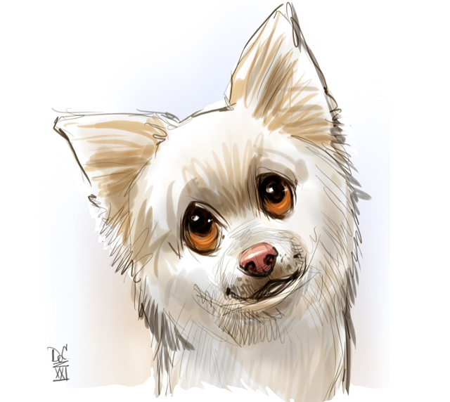 Dog and cat caricatures pet caricature illustration art in Toronto and GTA Ontario Canada