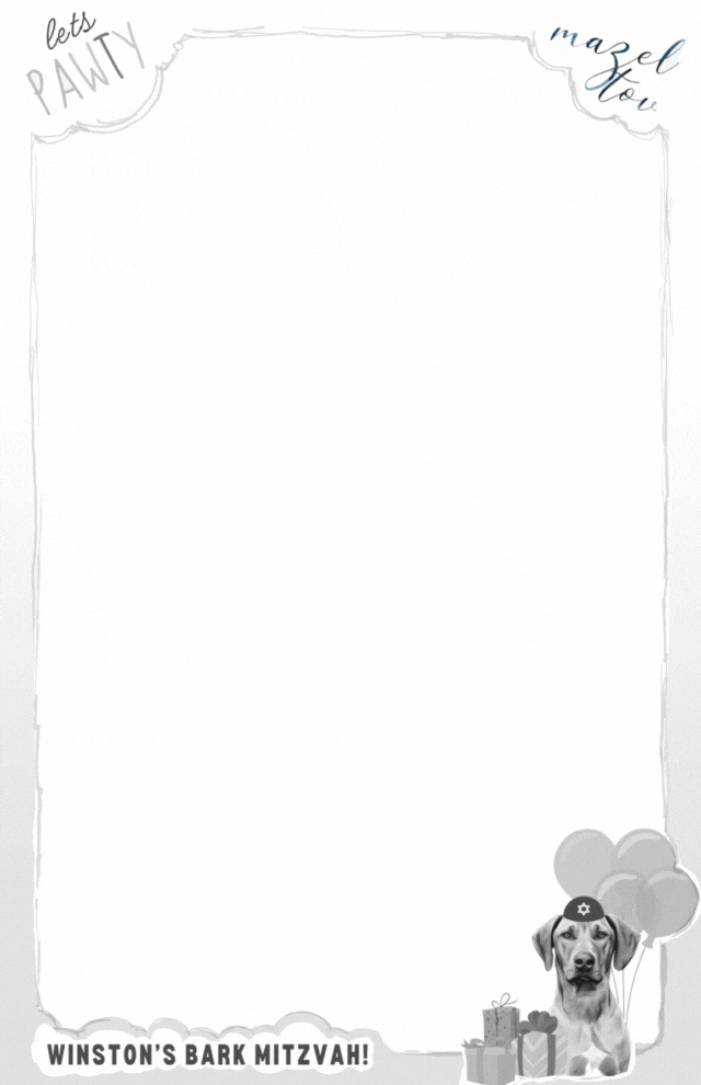 Studio caricatures and illustrations