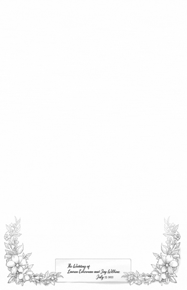 Studio caricatures and illustrations