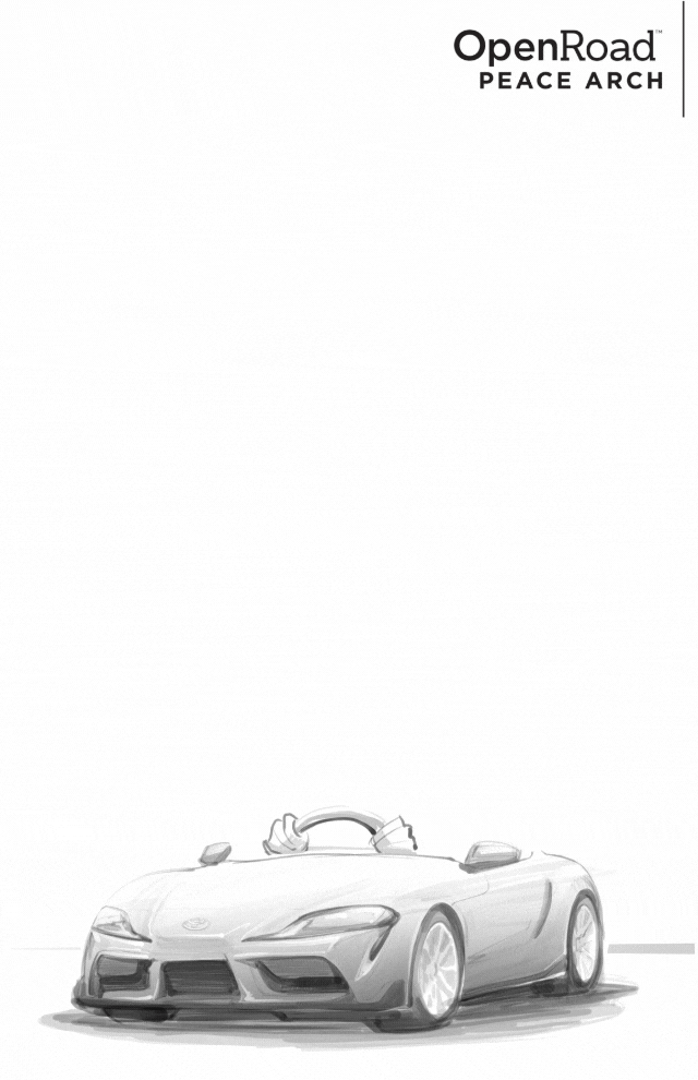 Studio caricatures and illustrations