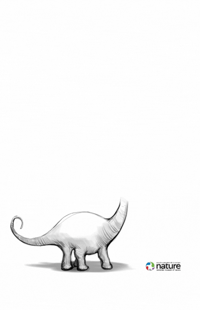 Studio caricatures and illustrations