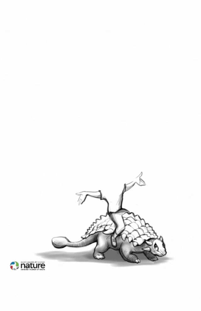 Studio caricatures and illustrations