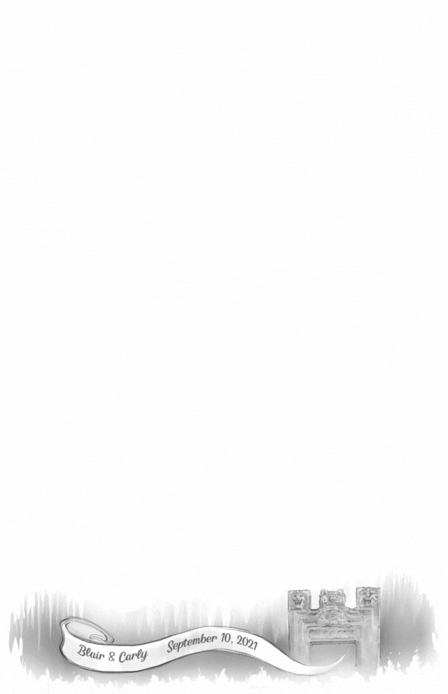 Studio caricatures and illustrations